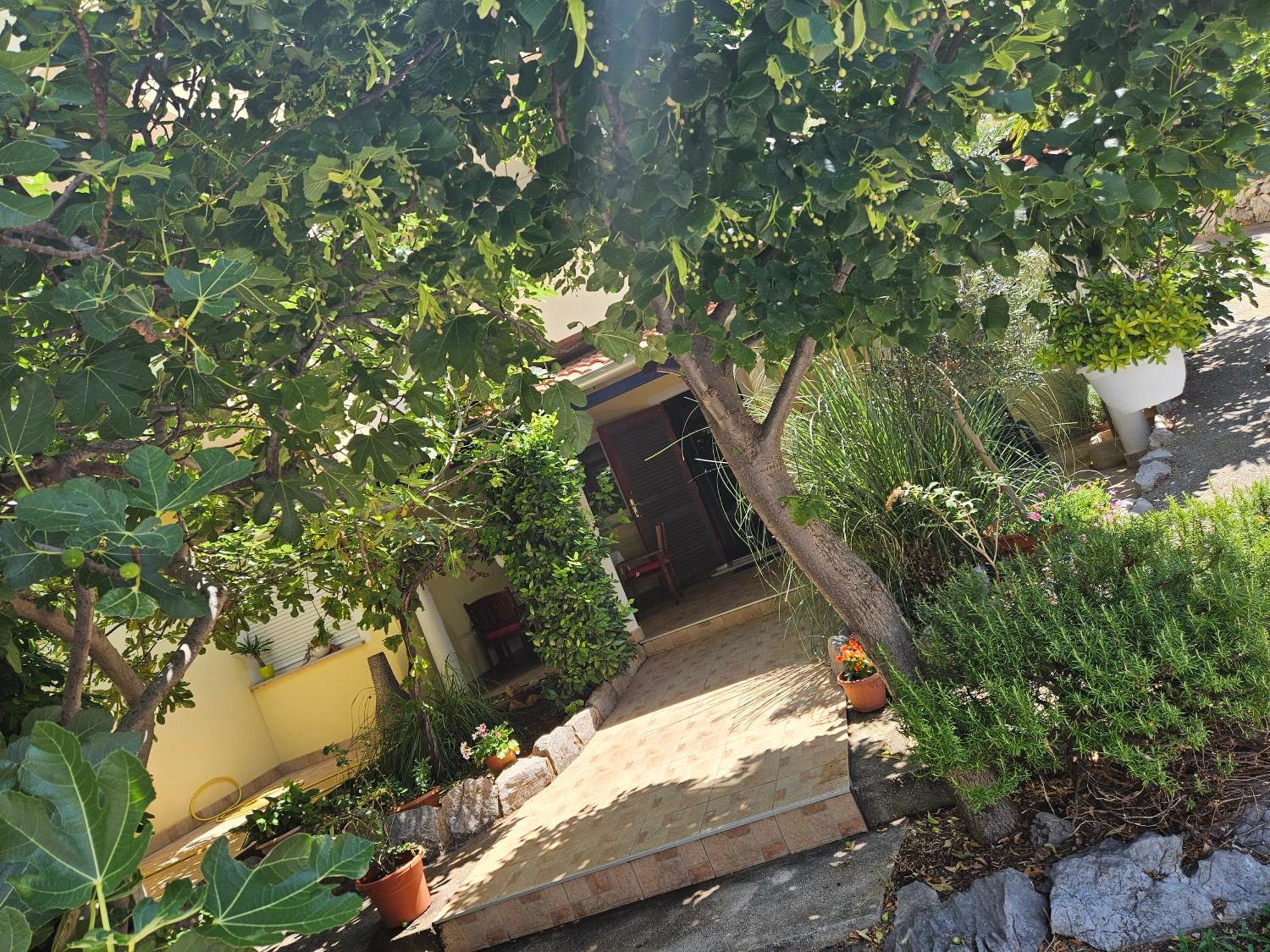 Apartmani Sanja Klenovica Exterior photo