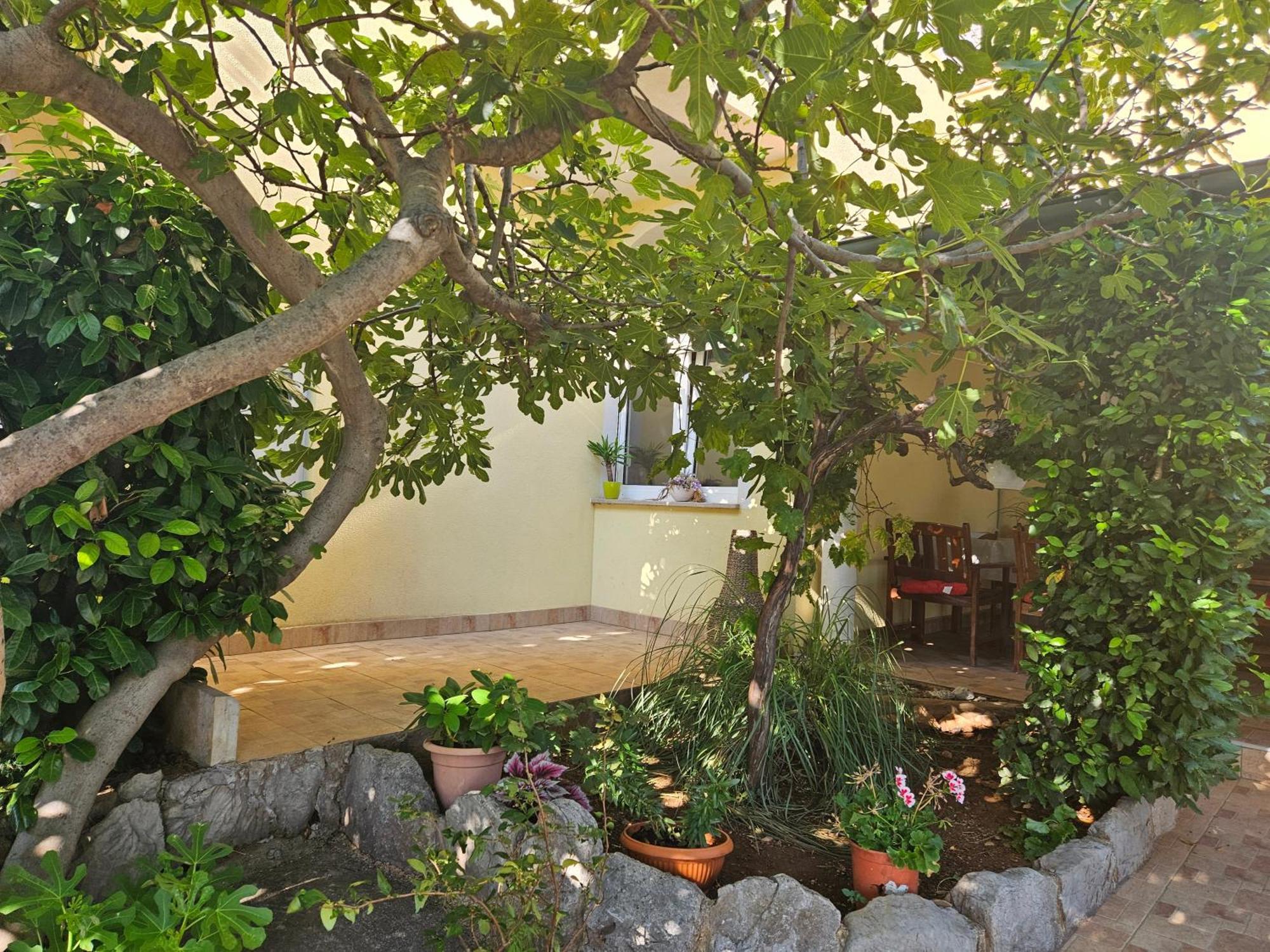 Apartmani Sanja Klenovica Exterior photo